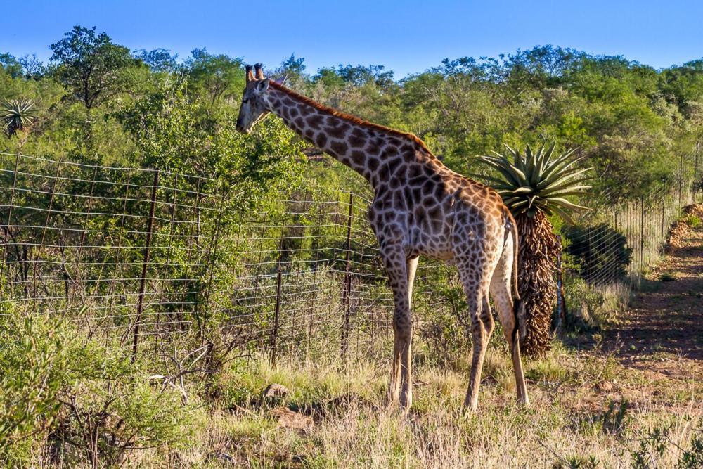 Big Valley Game Lodge Lobatse Luaran gambar